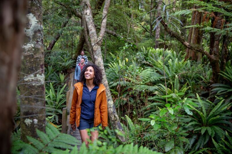 Stewart Island: Ulva Island Guided Wilderness Walk & Cruise - An In-Depth Look at the Ulva Island Guided Wilderness Walk & Cruise