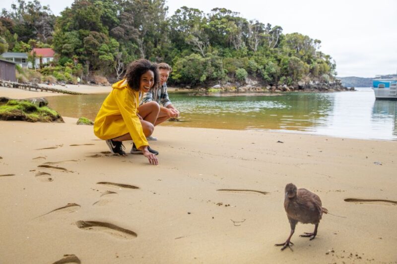 Stewart Island: Ulva Island Guided Wilderness Walk & Cruise - FAQ