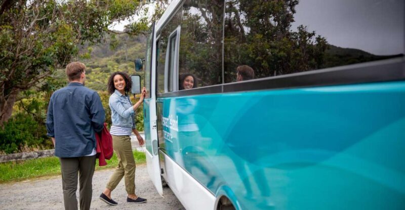 Stewart Island: Village and Bays Tour - Exploring Stewart Island: What You Can Expect from the Tour