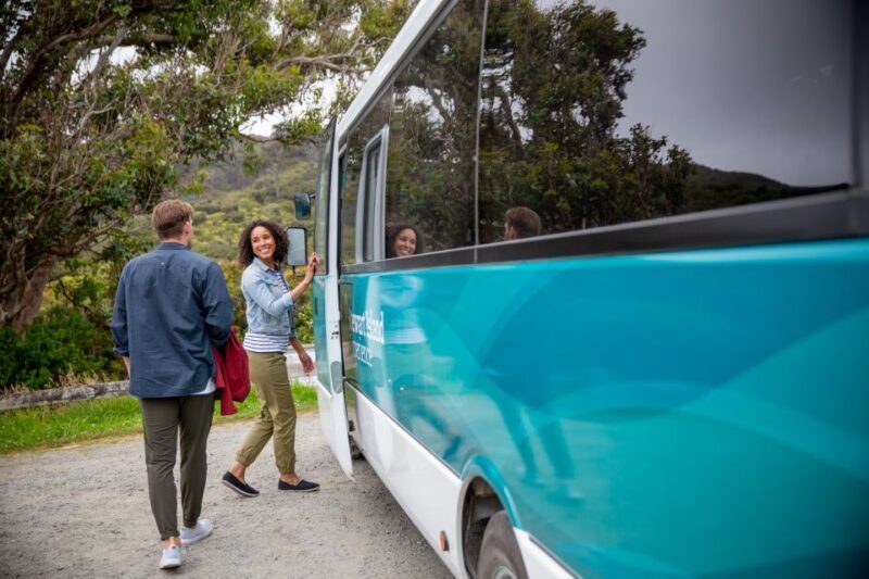 Stewart Island: Village and Bays Tour - Why This Tour Is Such a Good Value