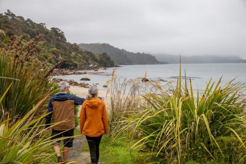 Stewart Island: Village and Bays Tour - Authentic Experiences and Genuine Value