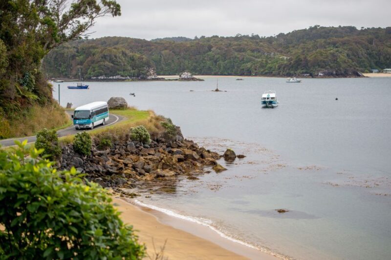 Stewart Island: Village and Bays Tour - Who Should Consider This Tour?