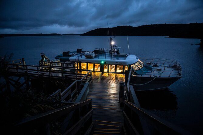Stewart Island Wild Kiwi Experiences - The Sum Up