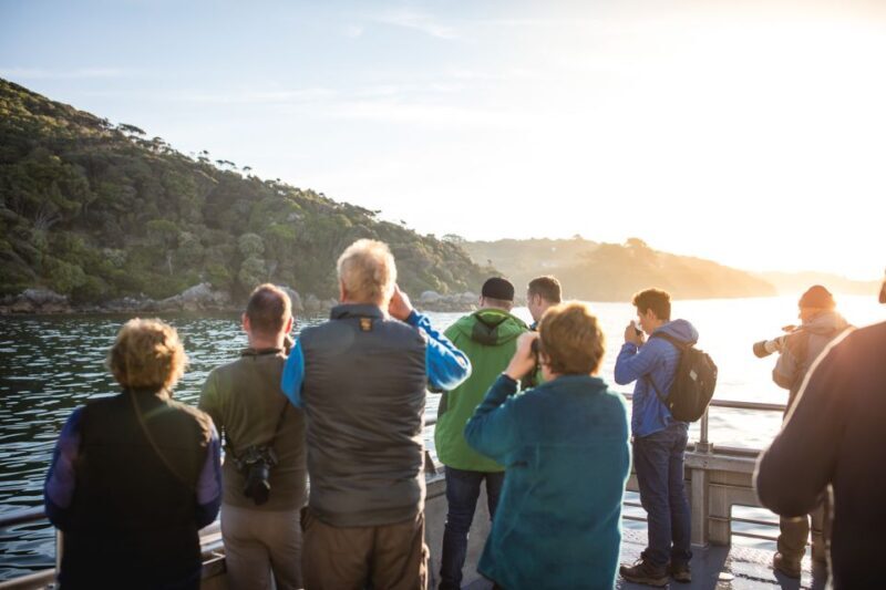 Stewart Island: Wild Kiwi Experiences - Discover Stewart Island’s Wild Kiwi Encounters: A Practical Review