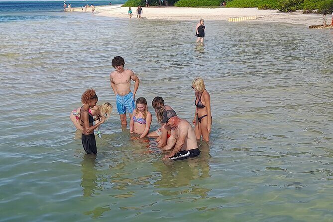 Stingray City and Reef Fishing Tours - The Practical Side: Cost and What It Means for You