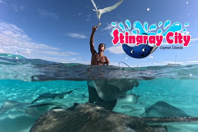 Stingray City and Starfish Experience with Coral Reef Snorkeling - Key Points