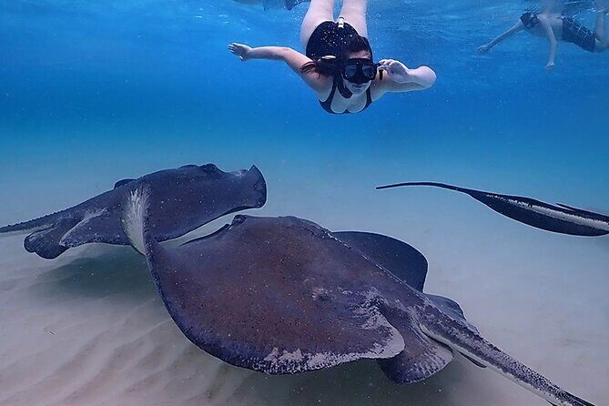 Stingray City and Starfish Experience with Coral Reef Snorkeling - FAQs