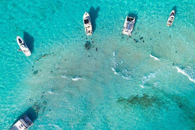 Stingray City and Two Reef Snorkeling Cayman Adventure - Who Will Love This Tour?
