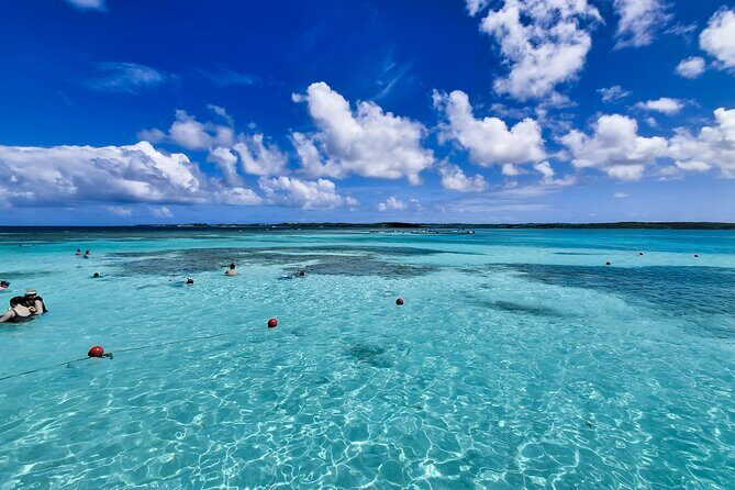 Stingray City Antigua for all the ages - ROUND TRIP INCLUDED - The Sum Up