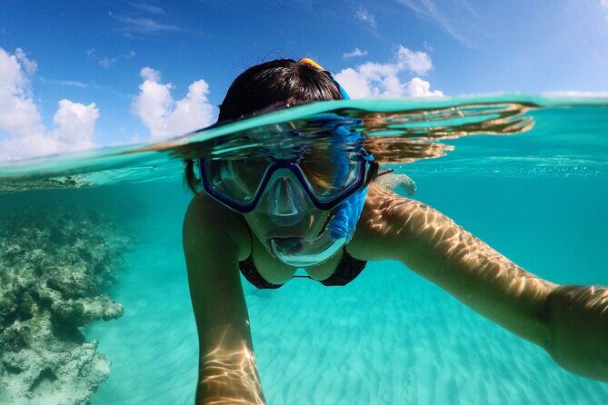 Stingray City Antigua for all the ages - ROUND TRIP INCLUDED - FAQ