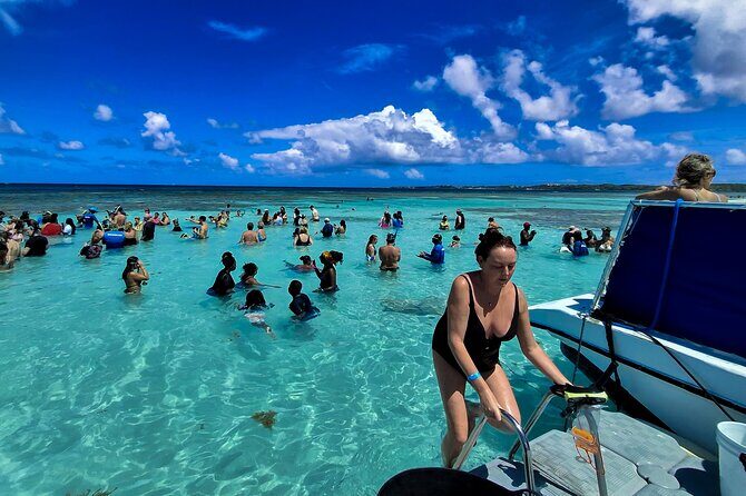 Stingray City Experience Antigua - Cruise Ship Passengers Edition - Key Points