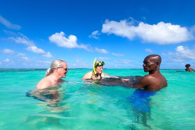 Stingray City Experience Antigua - Cruise Ship Passengers Edition - Final Thoughts: Who Is It Best For?