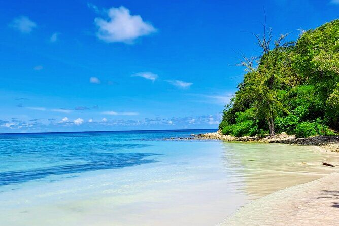 Stingray City experience, Devils Bridge and Long Bay Beach - A Detailed Look at the Tour Experience