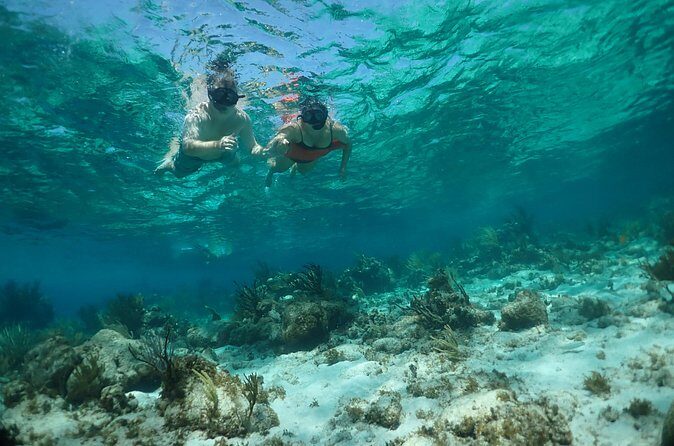 Stingray City Sandbar, Snorkel, Star fish Beach (Family operated) - Final Thoughts: Who Will Love This Tour?