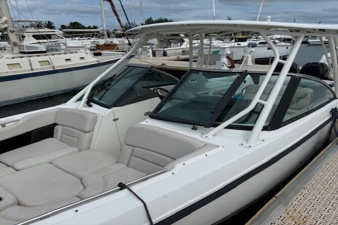 Stingray City, Star fish Point and Snorkeling Private Boat Tour - The Details: A Deep Dive into the Experience