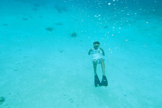 StingrayCity ,Coral Garden & Starfish Tour. - FAQ