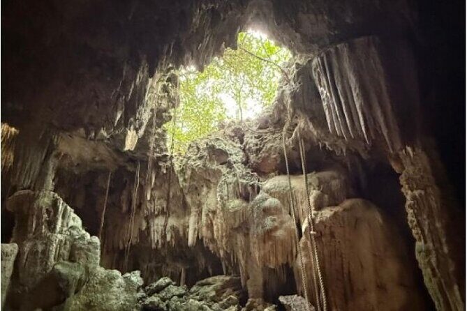 Stingrays, Starfish and Crystal Cave Adventure - Practical Details and Tips