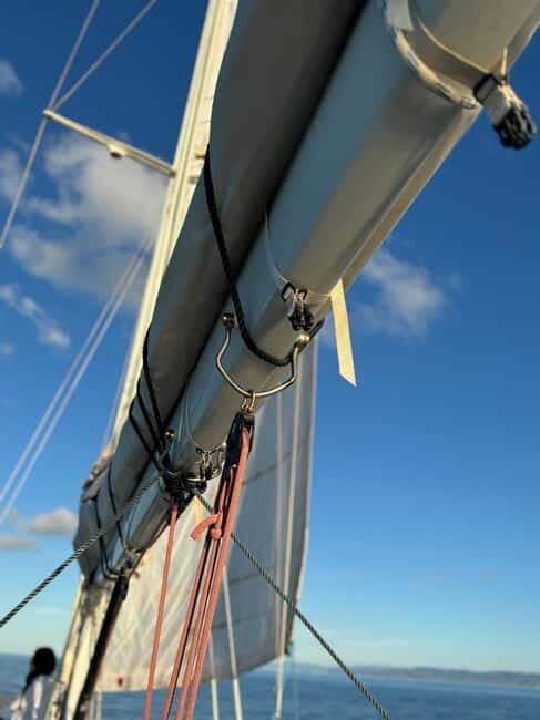 Stintino & Asinara Dream  15m Sailboat with Lunch Included - Experience the Beauty of Sardinia with the Stintino & Asinara Dream Sailboat Tour