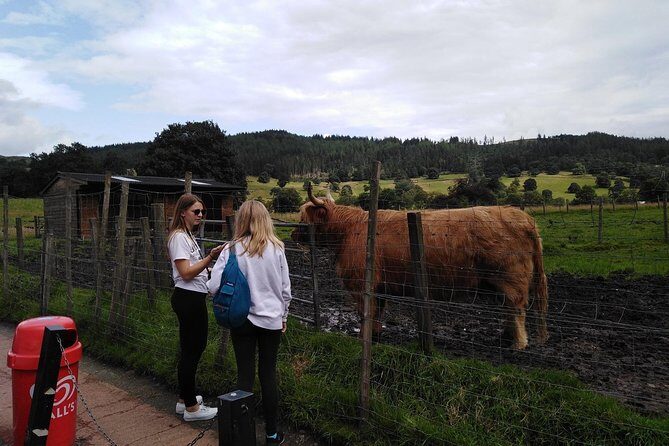 Stirling Castle, Hairy Coo's & The Trossachs - Who Is This Tour Best For?
