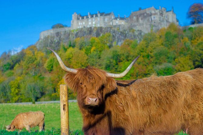 Stirling Castle,Trossachs National and Loch Lomond Day Tour from Edinburgh - The Itinerary in Detail: What to Expect and Why It Matters