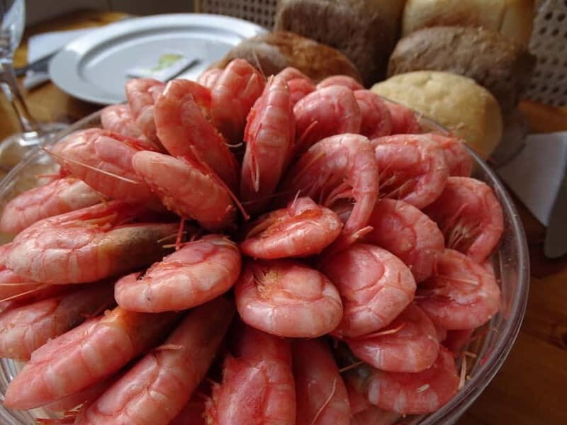 Stockholm: All-You-Can-Eat Shrimp/Tacos Cruise & Live Music - Final Thoughts