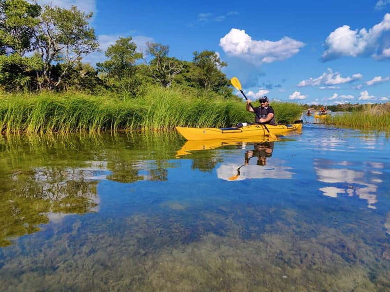 Stockholm Archipelago: Fun-Day Kayaking with Island Lunch - Exploring the Details: What to Expect from This Archipelago Kayaking Adventure