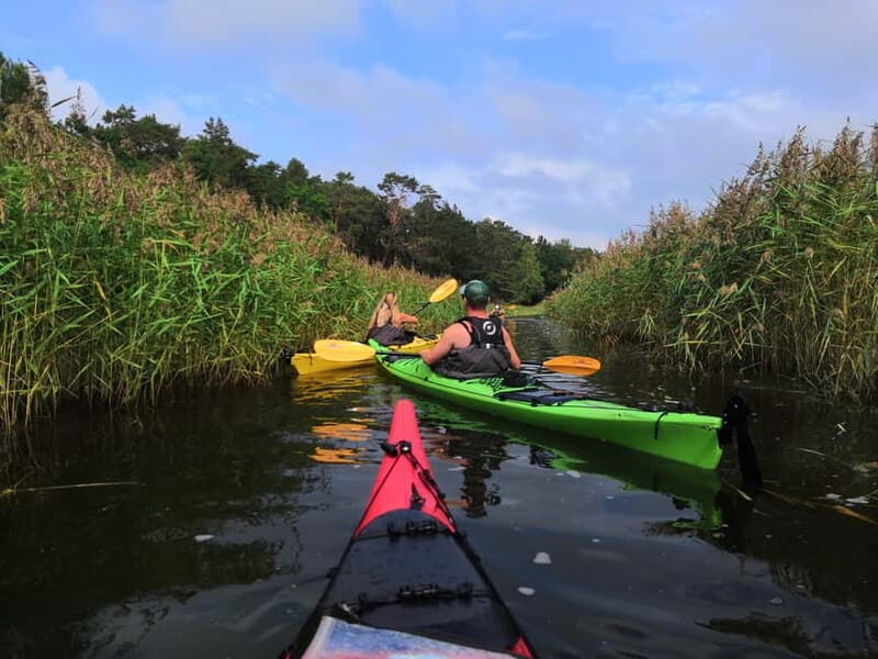 Stockholm Archipelago: Fun-Day Kayaking with Island Lunch - The Sum Up: Is This Tour Worth Your Time?