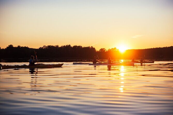 Stockholm Archipelago Sunset Kayaking and Fika tour - An In-Depth Look at the Stockholm Archipelago Sunset Kayaking Tour