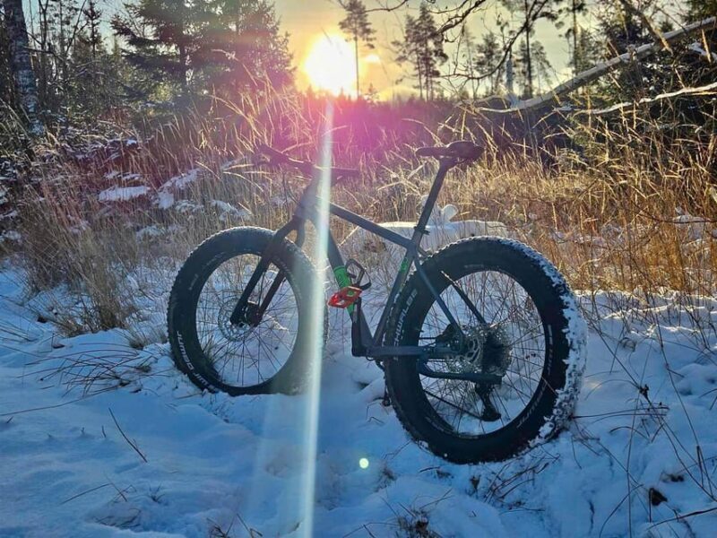 Stockholm: Fat Bike Forest Adventure with Lunch and Sauna - A Detailed Look at the Stockholm Fat Bike Forest Adventure