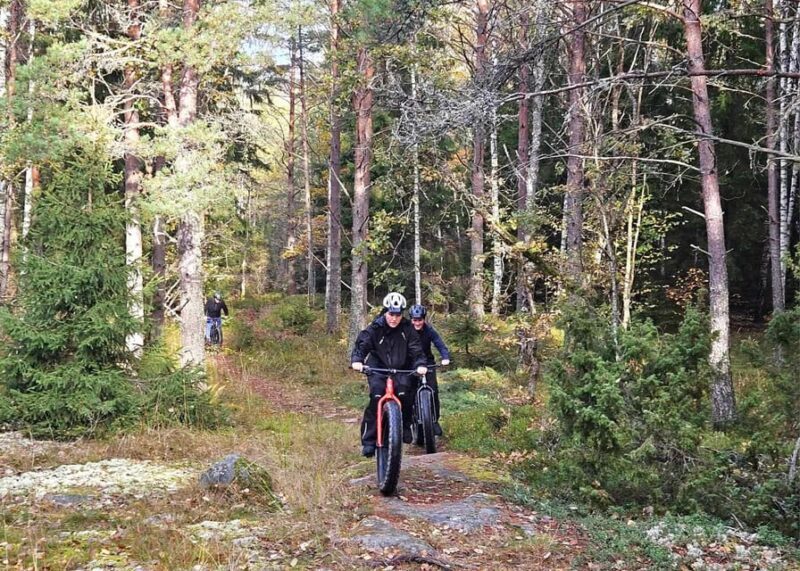 Stockholm: Fat Bike Forest Adventure with Lunch and Sauna - FAQ