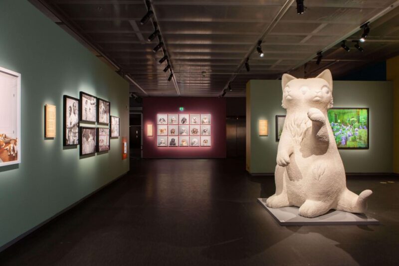 Stockholm: Fotografiska Museum Entrance Ticket - Authentic Perspectives: What Visitors Are Saying
