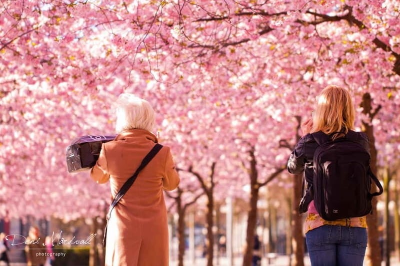 Stockholm: Highlights Guided Walking Tour - Exploring Stockholm’s Highlights in a Compact Walk