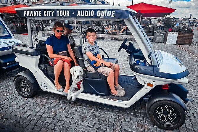Stockholm Highlights: Private Golf Cart Tour - Why Choose This Tour?