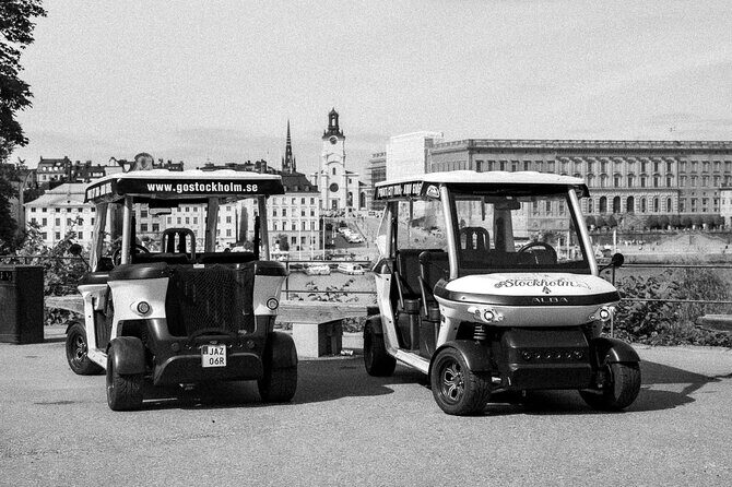 Stockholm Highlights: Private Golf Cart Tour - Who Should Book This Tour?