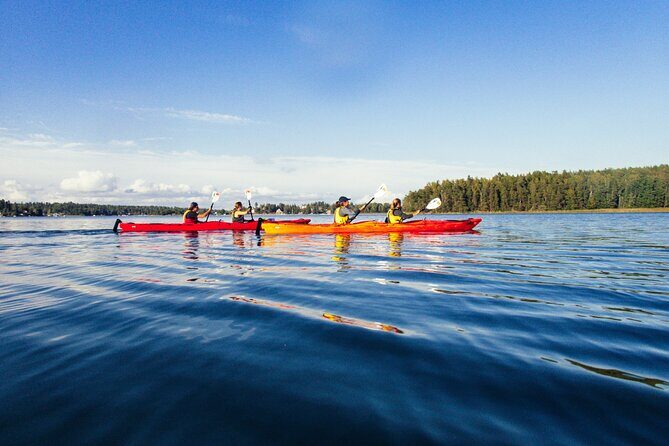 Stockholm: Kayaking tour around Vaxholm Archipelago with Fika - The Sum Up