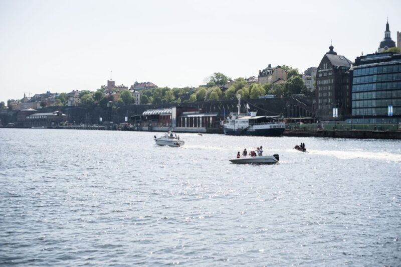 Stockholm: Old Town, Djurgården Island & Vasa Museum - Who is This Tour Best For?