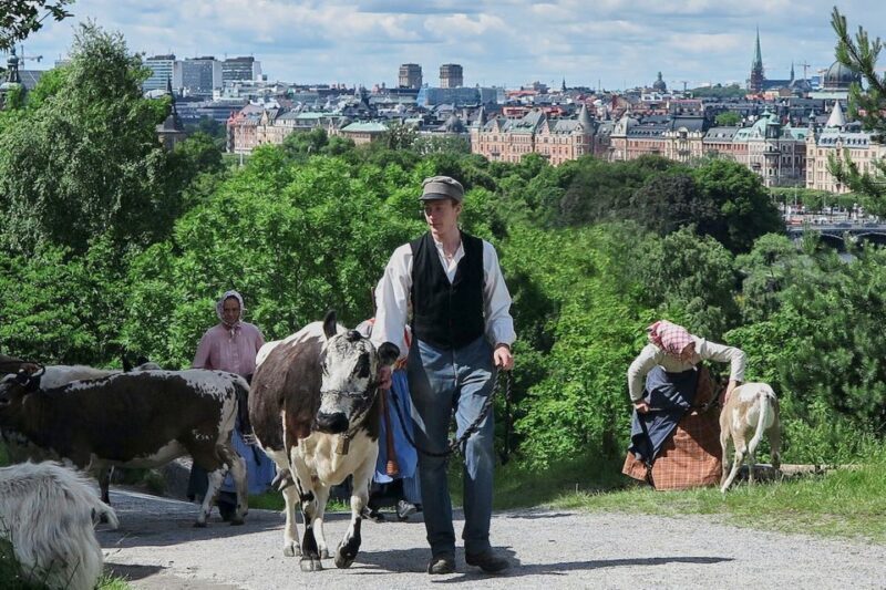 Stockholm: Skansen Open-Air Museum Admission Ticket - Key Points