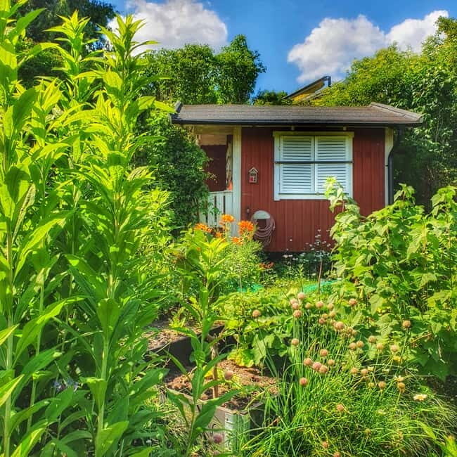 Stockholm: Södermalm Allotment Gardens & Parks Walking Tour - Key Points