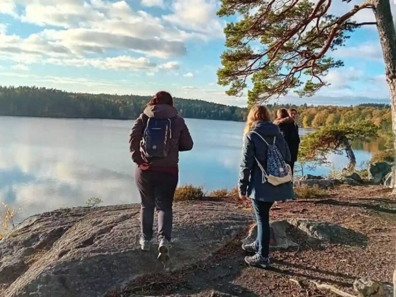 Stockholm: Sunset Hike in Tyresta National Park with Meal - A Deep Dive into the Sunset Hike Experience