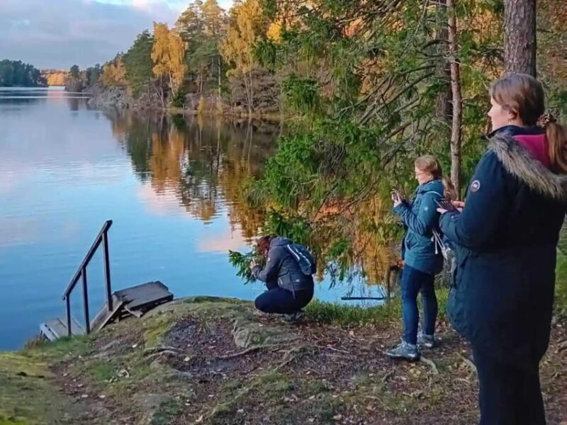 Stockholm: Sunset Hike in Tyresta National Park with Meal - FAQ: Your Questions Answered