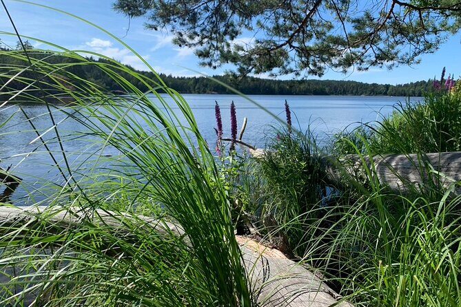 Stockholm: Sunset Hike in Tyresta National Park with Meal - Why This Tour Offers Great Value
