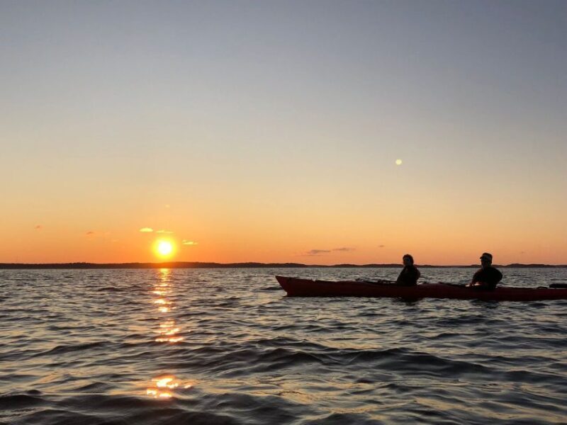 Stockholm: Sunset Kayak Tour in the Archipelago + Fika - Who Is This Tour Best For?