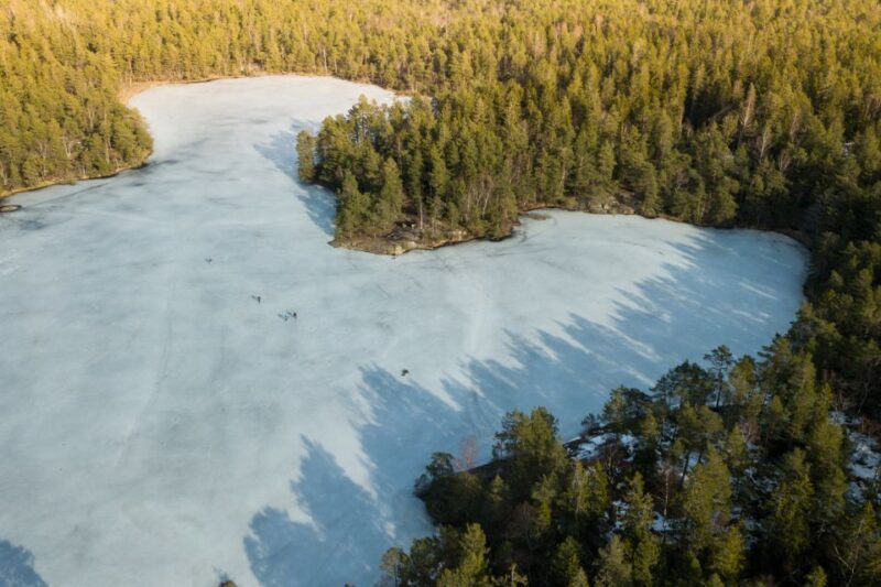 Stockholm: Winter Snowshoe Full-Day Hike - Exploring Stockholm’s Winter Wilderness: An Honest Review