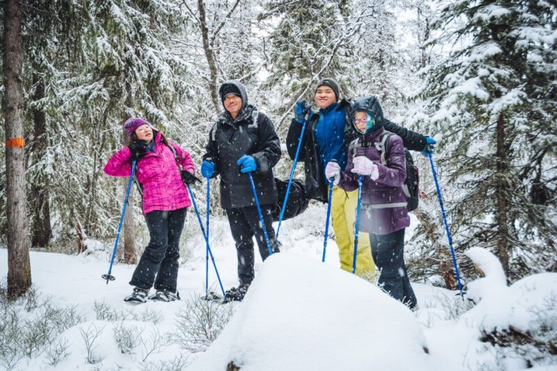 Stockholm: Winter Snowshoe Full-Day Hike - The Sum Up: Who Will Love This Tour?