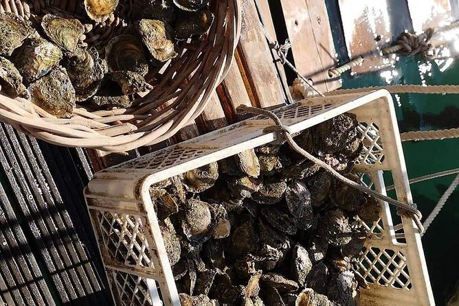 Ston Gastro Tour - An In-Depth Look at the Ston Gastro Tour