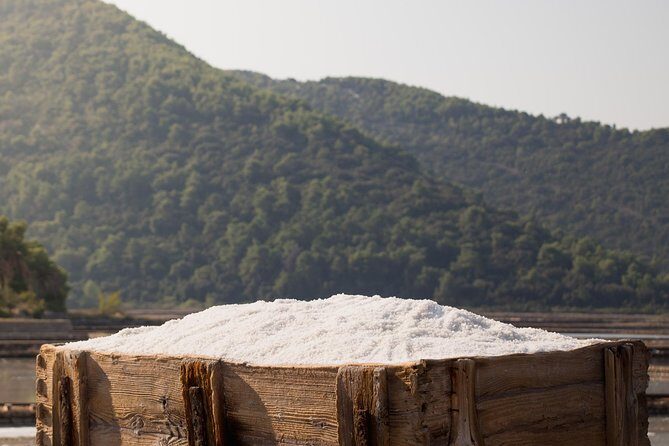 Ston Gastro Tour From Dubrovnik - A Deep Dive into the Experience