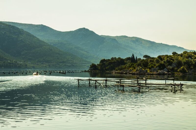 Ston Oyster & Wine Tasting Private Tour From Dubrovnik - Frequently Asked Questions