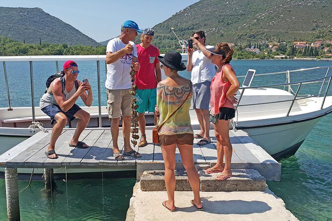 Ston Oysters & Wine Tasting Tour from Dubrovnik - FAQs