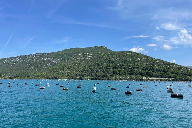 Ston Seafood & Peljea Wine Boat Tour with Oysters and Mussels - A Close Look at the Itinerary