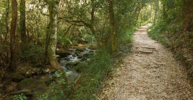 Stone and Nature: Vila Velha and Buraco do Padre, Paraná - A Deep Dive into the Experience